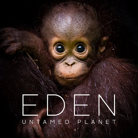 Eden: Untamed Planet