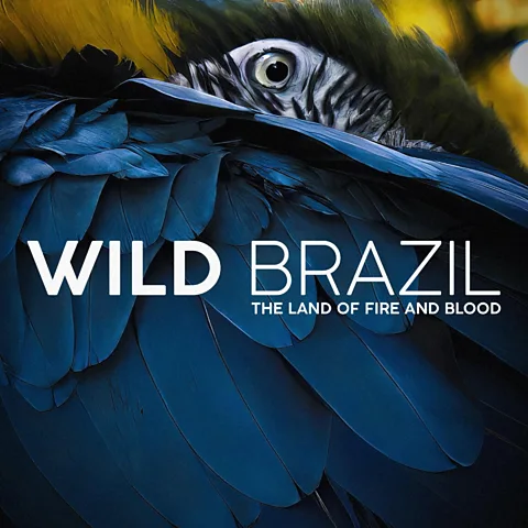 Wild Brazil: The Land of Fire and Blood