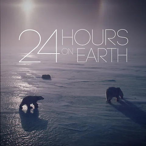24 Hours on Earth