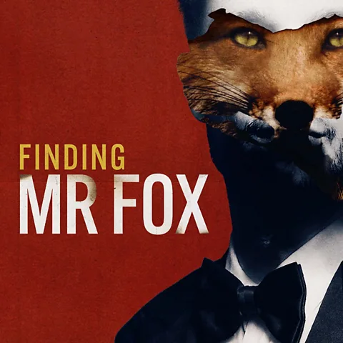 Finding Mr Fox