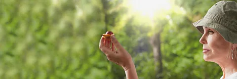 Joanna Lumley's Spice Trail Adventure