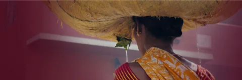 The Birth of Empire: The East India Company