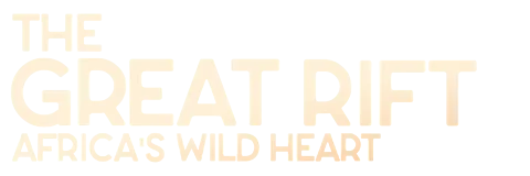Great Rift: Africa's Wild Heart