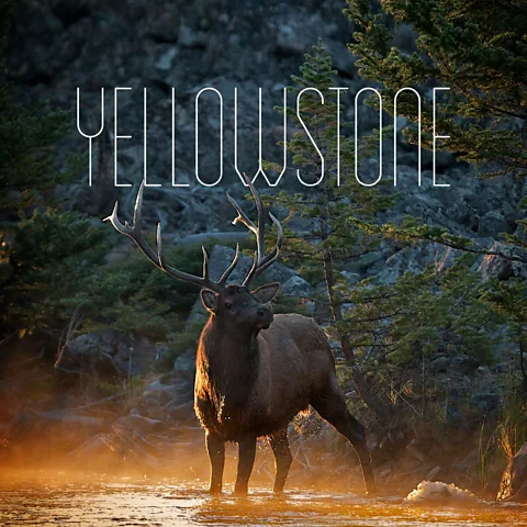 Yellowstone