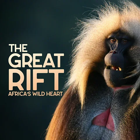 Great Rift: Africa's Wild Heart