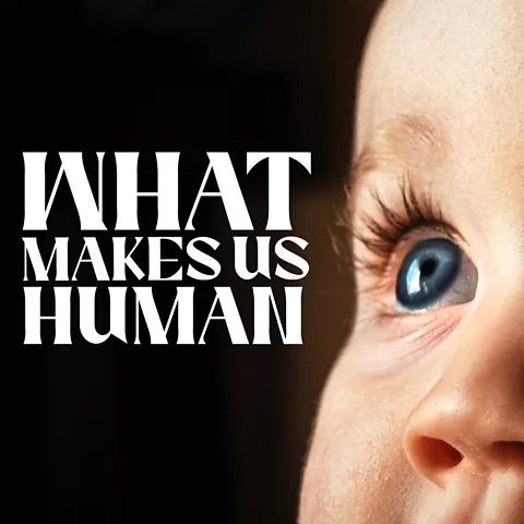 What Makes Us Human