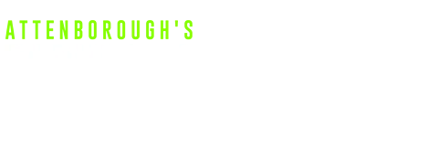 Attenborough's Fabulous Frogs