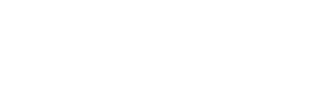 Wellington: The Iron Duke Unmasked