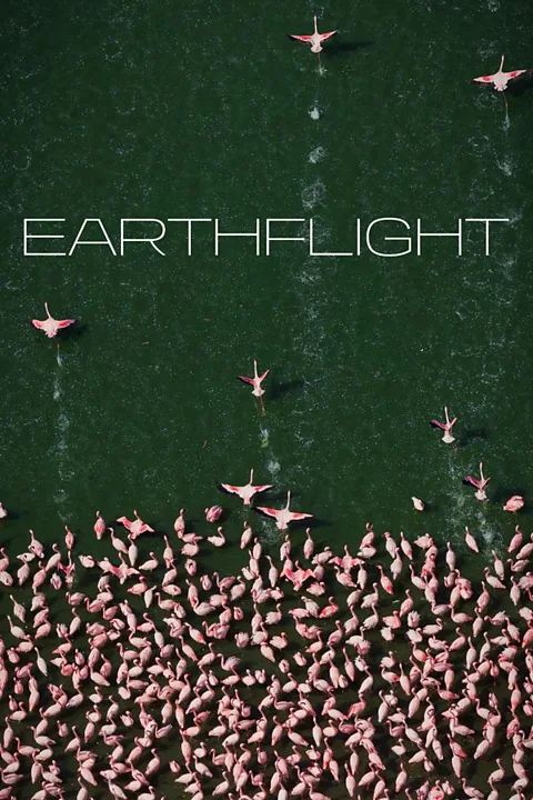 Earthflight