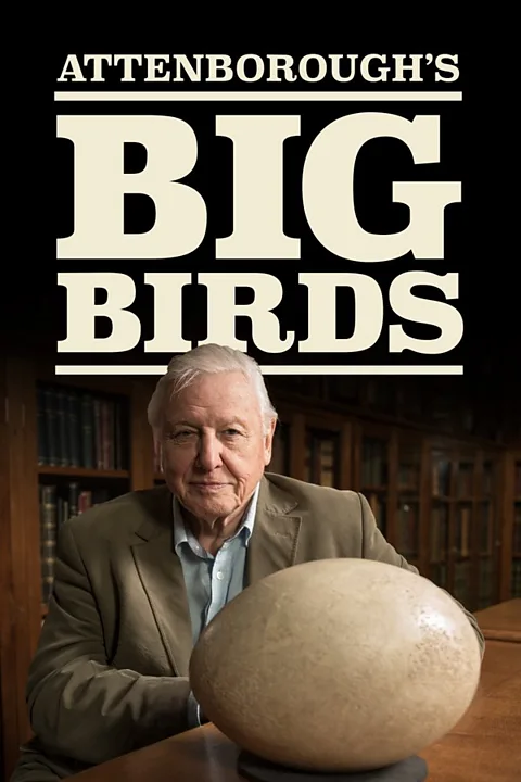Attenborough's Big Birds