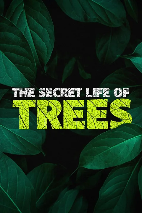 The Secret Life of Trees