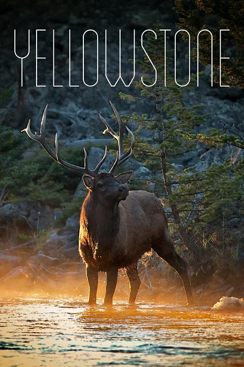 Yellowstone