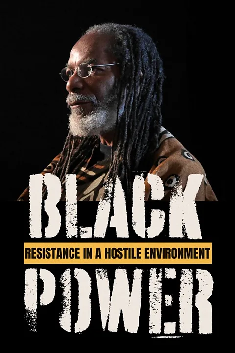 Resistance in a Hostile Environment: Black Power