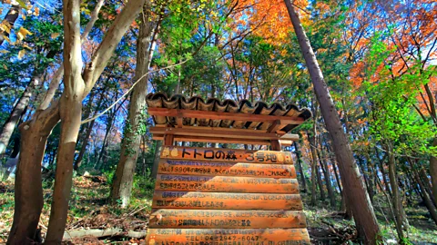 Alamy "Totoro's Forest" is named after the spirit who was inspired by these woods (Credit: Alamy)