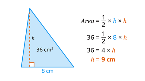 A right triangle with a base of 8 cm and an unknown height labelled "h". The area of the triangle is given as 36 cm². Next to the triangle, the steps to solve for "h" are shown: The area formula: Area = (1/2) × b × h. Substituting values: 36 = (1/2) × 8 × h. Simplifying: 36 = 4 × h. Solving: h = 9 cm.