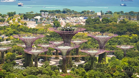 Getty Images Singapore's famous Gardens by the Bay combines tropical flora with the iconic 'supertrees': artificial structures providing a vertical garden and shading (Credit: Getty Images)