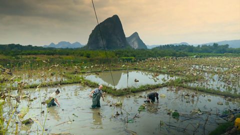 Farming in rural China