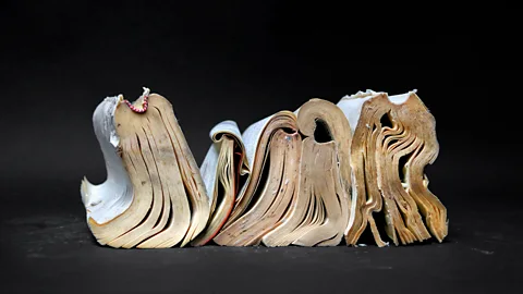 Patrizia Zelano and Zamagni Arte, Rimini (Credit: Patrizia Zelano and Zamagni Arte, Rimini)
