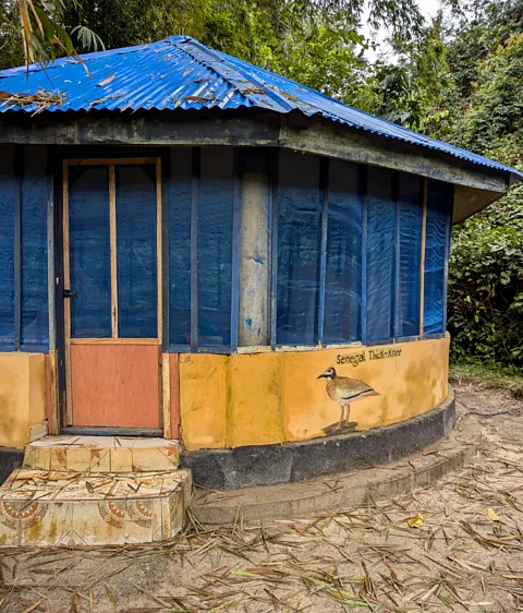 Sarah Holt Visitors stay in mesh-sided wooden huts in an off-grid camp or can book beds in the research lodge (Credit: Sarah Holt)