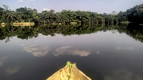 Ali Lucas-Chee Visitors can explore the island and surrounds on guided forest walks, night hikes and canoe trips (Credit: Ali Lucas-Chee)