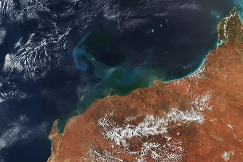 Nasa Swirls of phytoplankton stirred up by a passing cyclone are visible from space (Credit: Nasa)