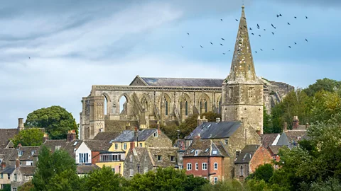 Richard Collett Malmesbury, Wiltshire with houses in foreground and the Abbey behind (Credit: Richard Collett)