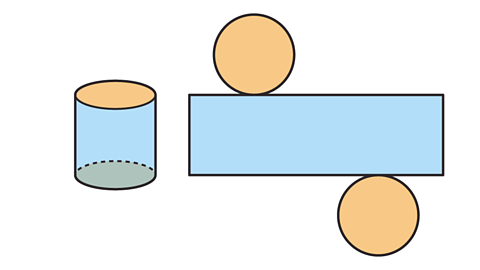 A cylinder and a net of a cylinder.