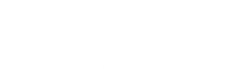 The Travel Show