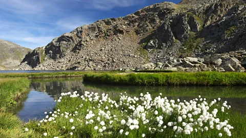 Alamy Lai da Tuma in the Swiss Alps is the source of the Rhine and the end point of the EV15 cycle route (Credit: Alamy)