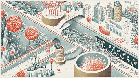 Emmanuel Lafont Biofilms are like microscopic "cities" of bacteria that form on surfaces, including the inside of the pipework and head of your shower (Credit: Emmanuel Lafont)