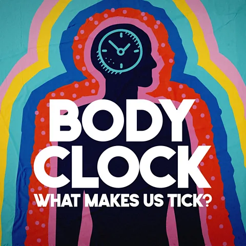 Body Clock: What Makes Us Tick?