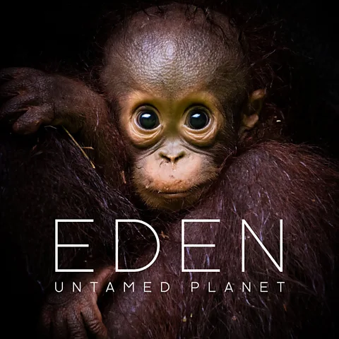 Eden: Untamed Planet