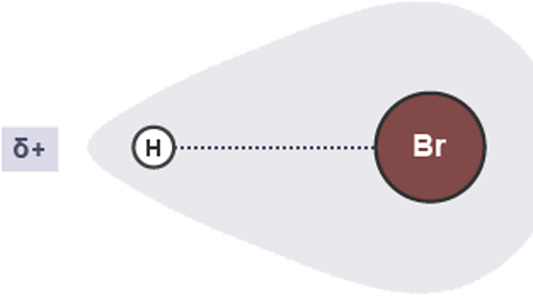 Revise structure and bonding