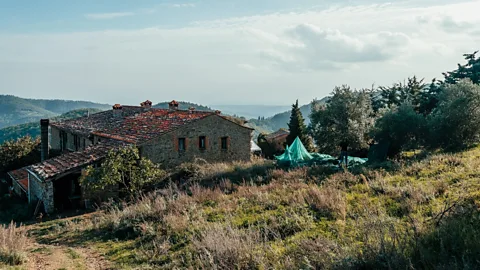 Bio Agriturismo Reggioli A growing number of Italian farms are inviting travellers to experience and participate in their harvest (Credit: Bio Agriturismo Reggioli)