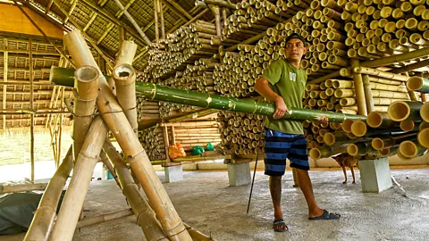 Base Bahay A worker positions a green bamboo stem inside a bamboo treatment centre in the Philippines (Credit: Base Bahay)
