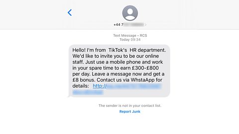 A text claiming to be from TikTok's HR department - it says that you can earn between £300 and £800 per day if you work for TikTok and that you should click a link to apply for the job.