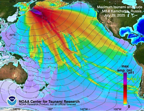 Noaa Center for Tsunami Research Noaa's Dart system used buoys to forecast where the tsumani waves would travel (Credit: Noaa Center for Tsunami Research)