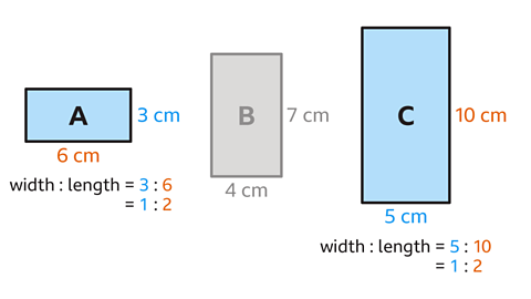 Three rectangles arranged horizontally on a white background. Rectangle A on the left is blue, labelled “A,” and measures 6 cm in length and 3 cm in width. Rectangle B in the centre is grey, labelled “B,” and measures 7 cm in length and 4 cm in width. Rectangle C on the right is blue, labelled “C,” and measures 10 cm in length and 5 cm in width. Below rectangle A, text reads “width : length = 3 : 6 = 1 : 2.” Below rectangle C, text reads “width : length = 5 : 10 = 1 : 2.” Measurements are shown in orange for length and blue for width.