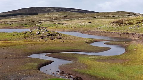 Yellow gorse and green grass on shore of Loughareema lake, water level has gone done and we can see a rocky area in the middle and streams