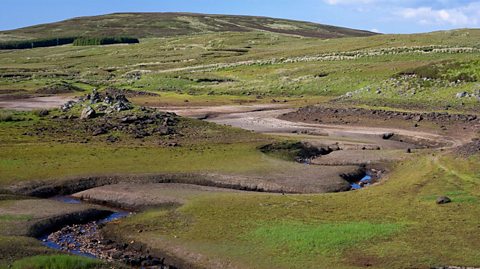 Loughareema lake, we can now see rocks and grass where there was water of the lake. Muddy channels and very small streams only sign left.