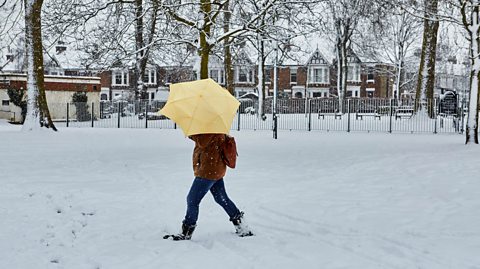 An image of a person walking through a snow-covered UK park, with houses in the background. They are sheltering themselves form the snow with an umbrella.