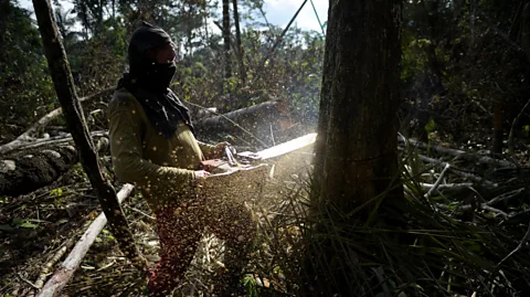 Getty Images A farmer cuts down trees for a coca plantation in Guaviare department, Colombia, in 2021 (Credit: Getty Images)