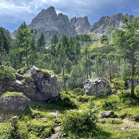Mike MacEacheran The Dolomites shift from calm alpine meadows to fierce, saw-toothed peaks within metres (Credit: Mike MacEacheran)