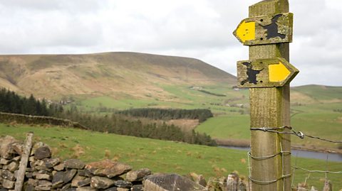 Footpath sign next to a dry stone wall, pointing the way up to Pendle Hill which we can see in the background