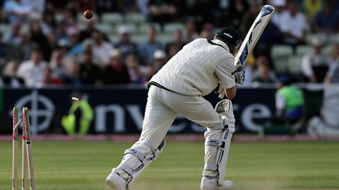 Howzat for a yorker? The origins of cricket jargon