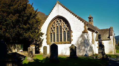 The Fortingall Yew in Perthshire, Scotland, to the left of the churchyard. The big, green trees branches pour shade over much of the churchyard, leaning against the other white church