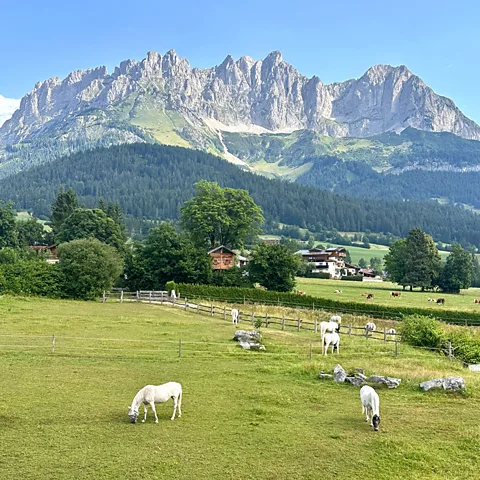 Ivana Larrosa The hotel grows or raises much of the produce served on site, making agriculture central to its sustainability model (Credit: Ivana Larrosa)