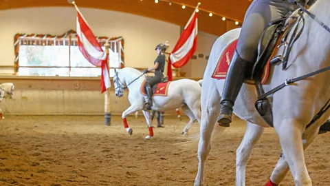 Stanglwirt Stanglwirt is one of the few hotels in the world to maintain its own Lipizzaner stud and riding school (Credit: Stanglwirt)