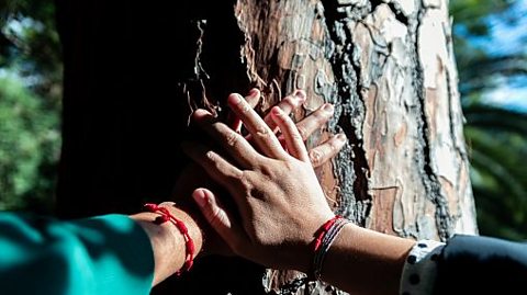 An image of two people of the Sikh faith placing their hands on a tree. 