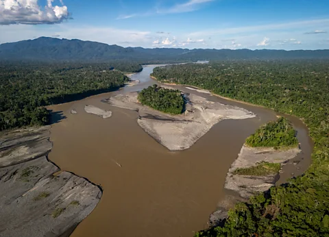 Karen Toro An aerial view of an Amazon river (Credit: Karen Toro)